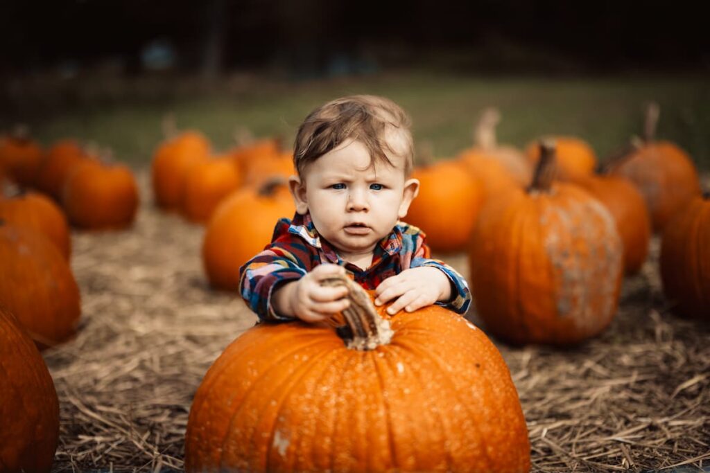 Pumpkin patch