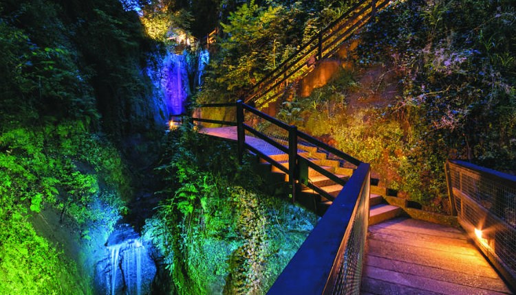 Shanklin Chine Illuminated