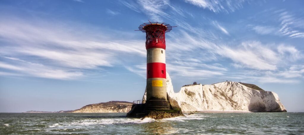 The needles at winter