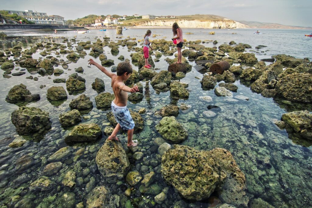 Rockpooling on Isle of Wight