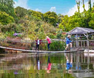 robin-hill-rope-bridge (1)